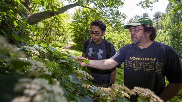 Faculty Mentorship at Taylor Arboretum