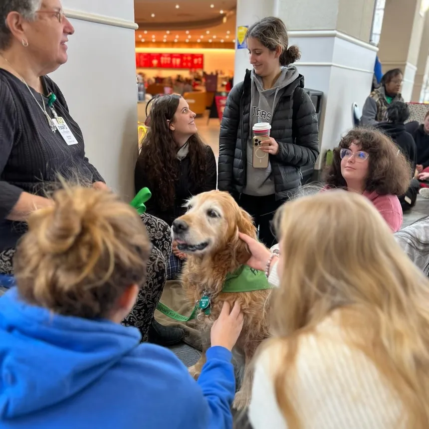 Students petting a golden retriever during a finals week therapy dogs stress relief event