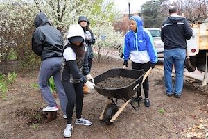 civic engagement tree planting 300x200