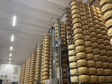 Stacks of Parmigiano Reggiano wheels reach the ceiling