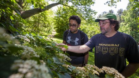 Faculty Mentorship at Taylor Arboretum
