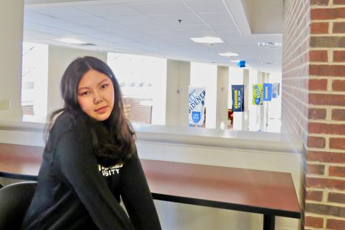International Student Tsatsral Sugar sits on the second floor of the University Center; behind her are Widener flags hanging from the ceiling