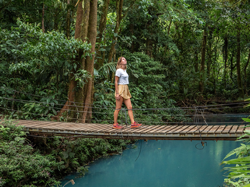Student walks across a bridge in the rain forest