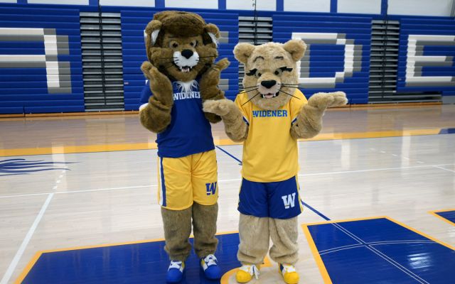 Mascots funny post 1200x750