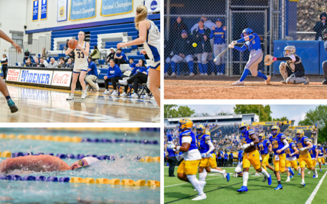 Widener athletics collage featuring basketball, baseball, football, and swimming